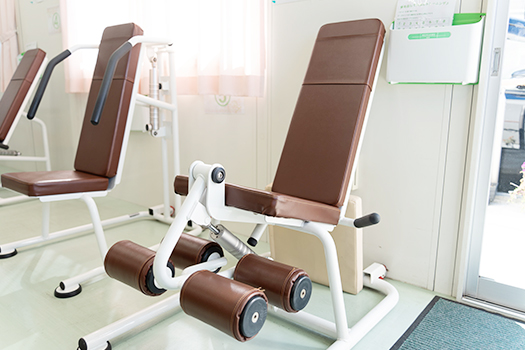 レッグエクステンション